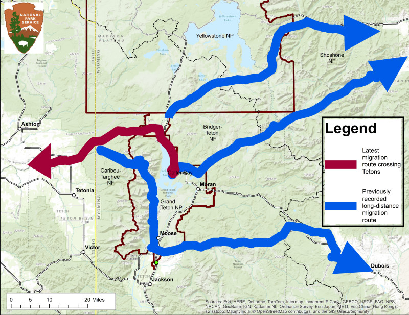 Mule Deer Migration Routes e1459281509265