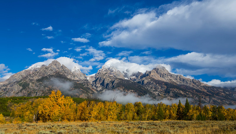 29692916120_e58047ede9_c Fall in the Tetons often provides dramatic contrasts in light and color making for excellent photography.