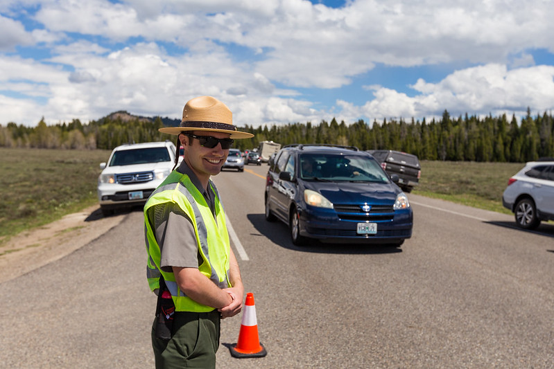 The Wildlife Brigade: Protecting Animals AND Visitors in GTNP