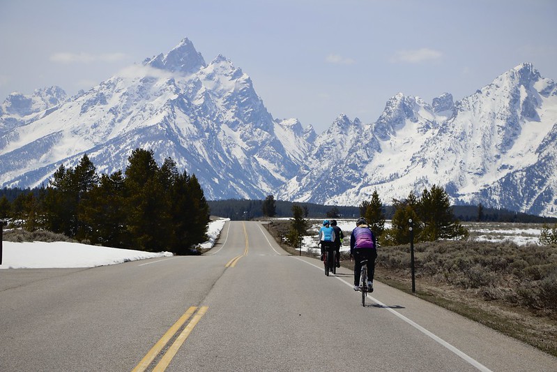 Cyclists enjoying an April ride on the park road.