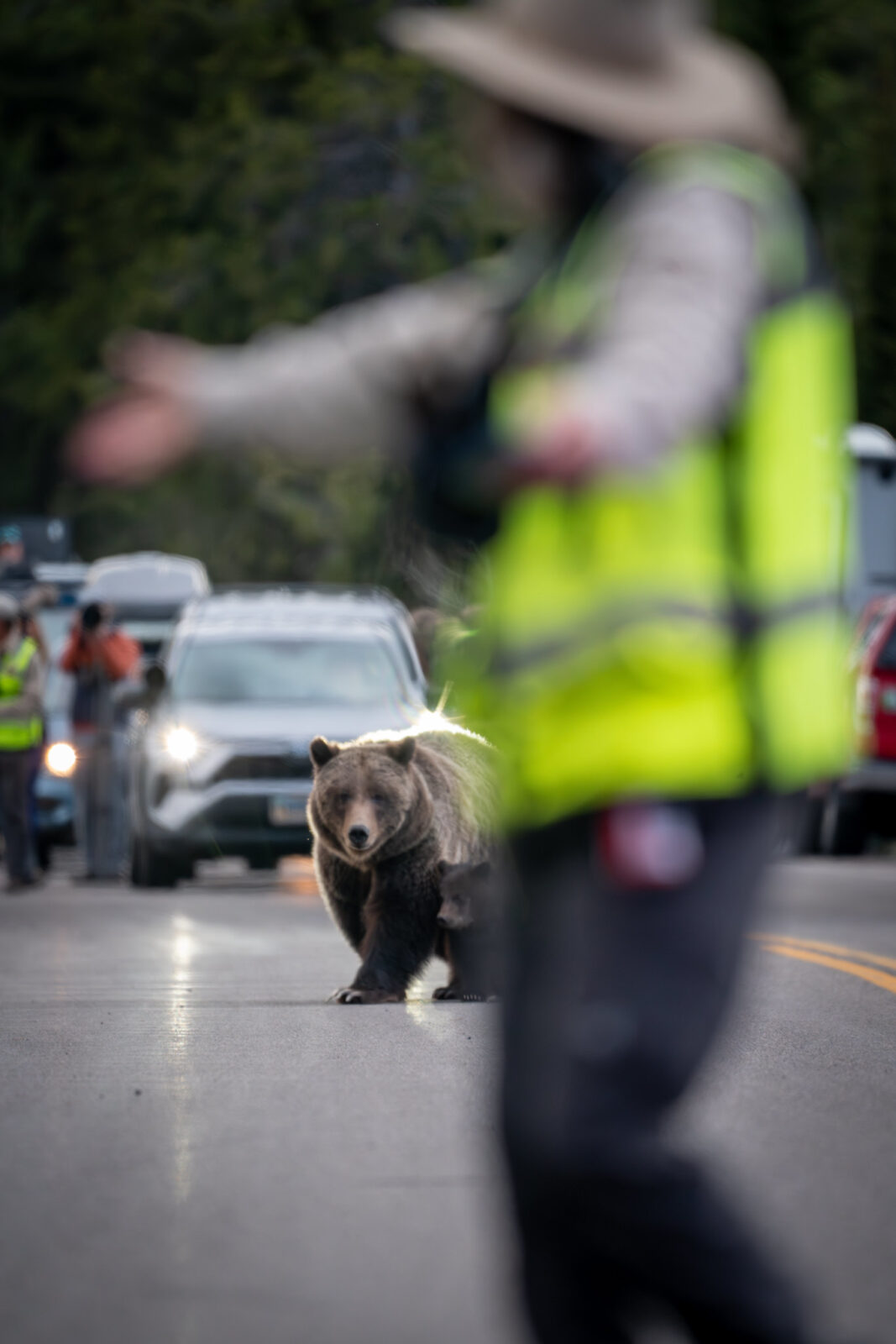 The Wildlife Brigade: Protecting Animals AND Visitors in GTNP