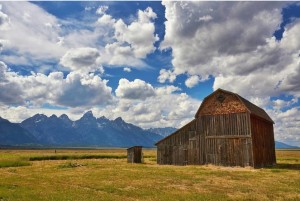 @capulinflicker_Thomas Murphy barn