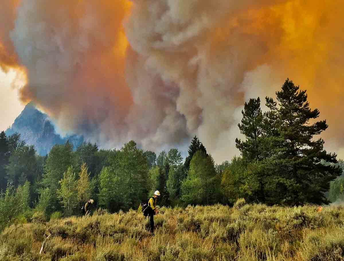 Загрязнение воздуха пожары. Йеллоустонский национальный парк пожары. Национальный парк Йеллоустоун пожар. Пожары в Йеллоустонском национальном парке. Пожары в Йеллоустонском национальном парке 1988.