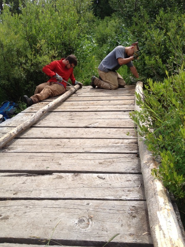 Bridge work