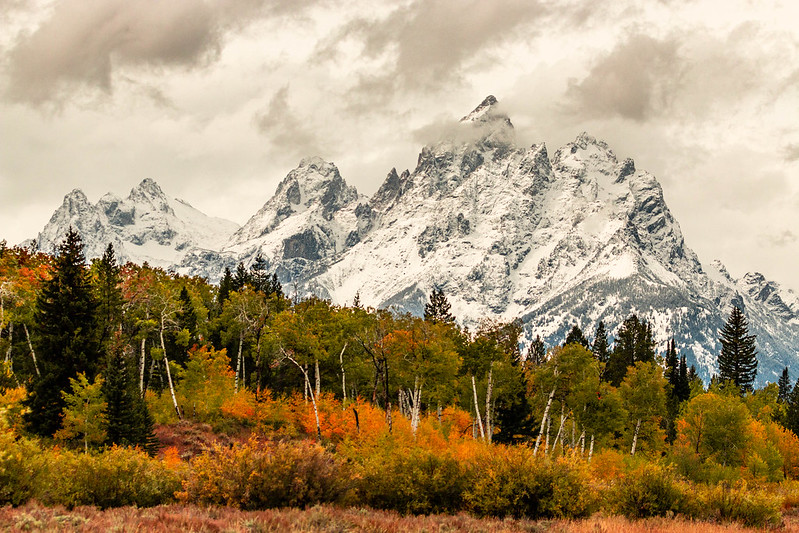 Cathredral_Grp_Early_Fall_Storm Early snowstorms create dramatic backdrops for fall colors in the Tetons.