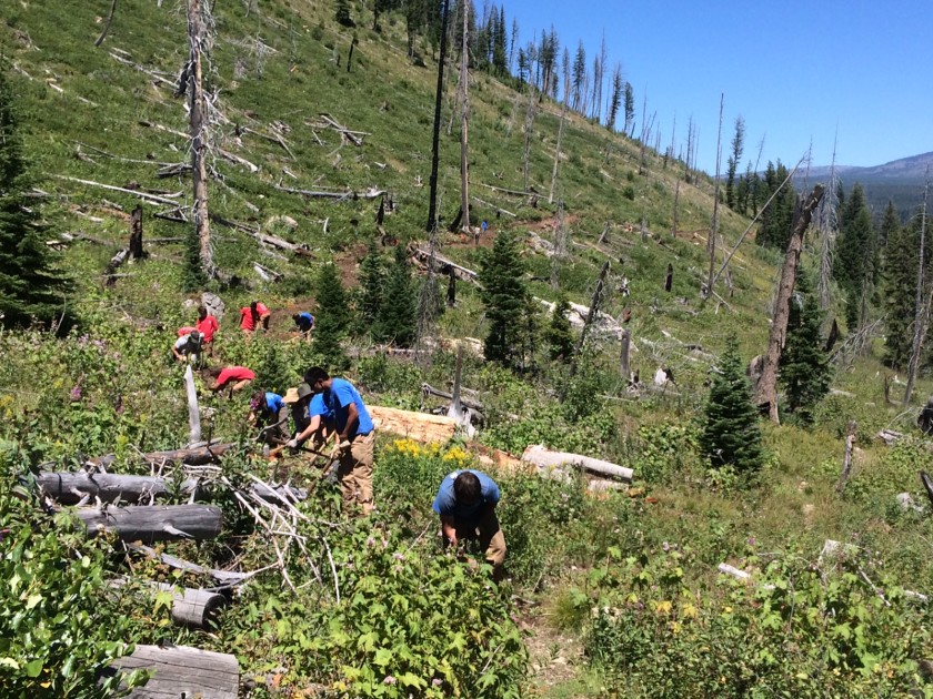 Clearing trail in Webb Canyon