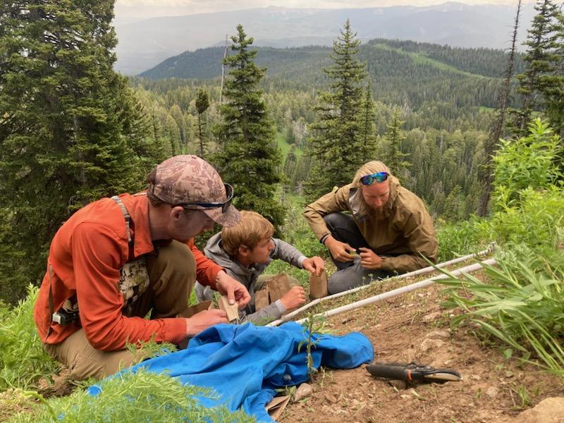Park scientists investigate available forage for bighorn sheep.