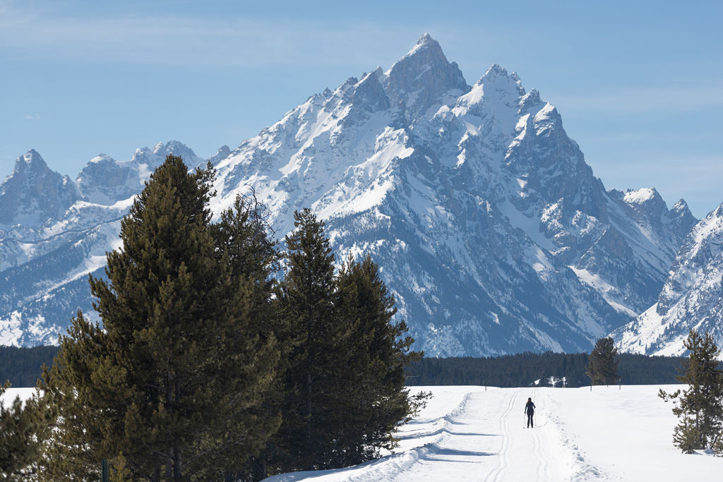 Cross Country Skiing - Explore Winter in Grand Teton this Season