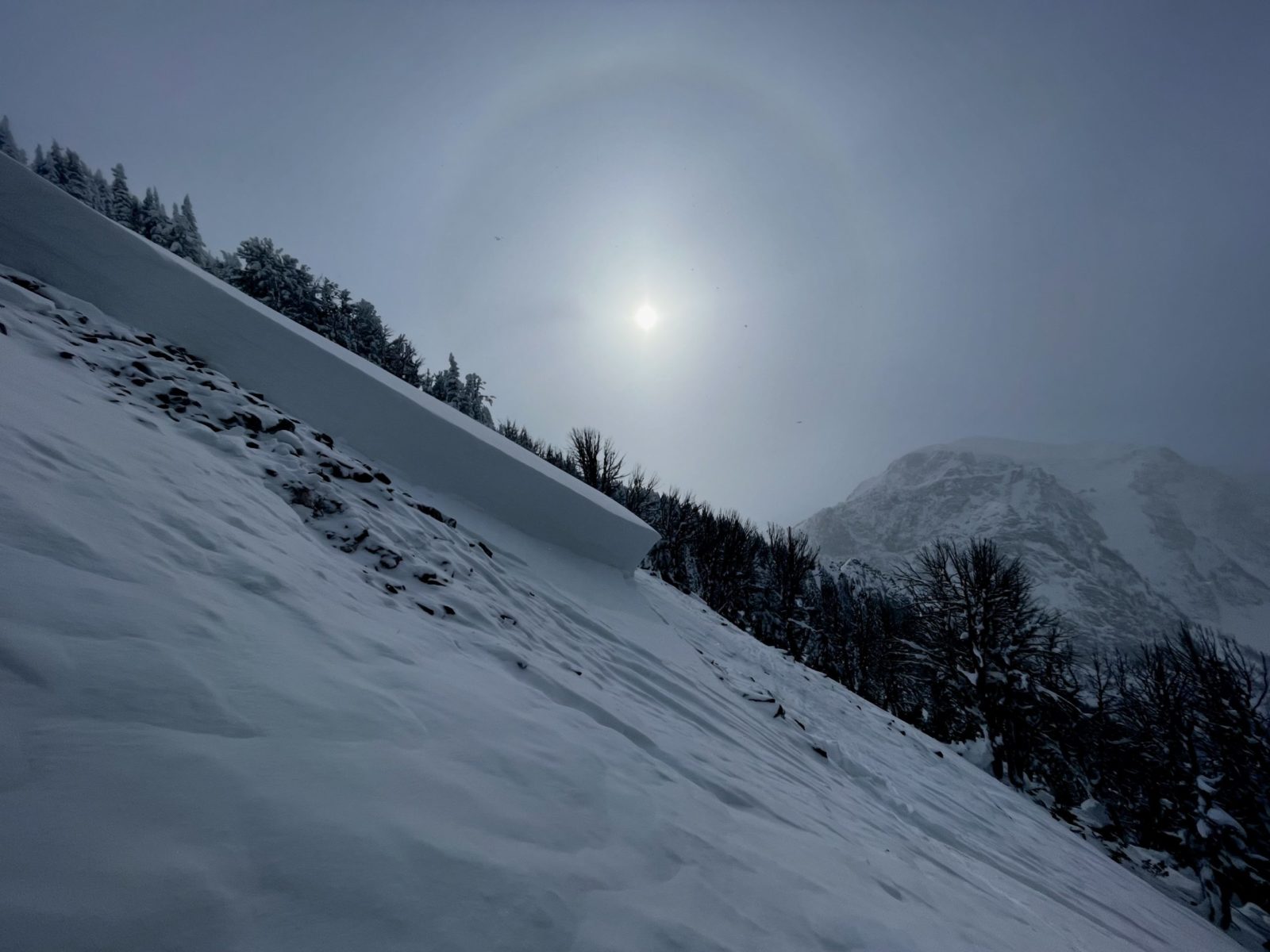 A crown from a recent avalanche in Grand Teton. BTAC's forecaster team investigated the cause of the avalanche to share information about problem layers in the snowpack with backcountry skiers and riders. Photo by Jackson Knoll.