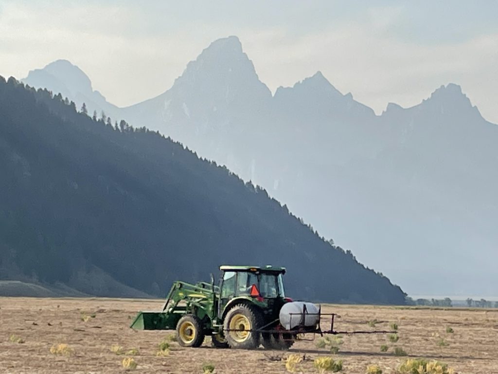 Grand Teton National Park Foundation receives grant from the National Fish and Wildlife Foundation to restore native sagebrush-grassland