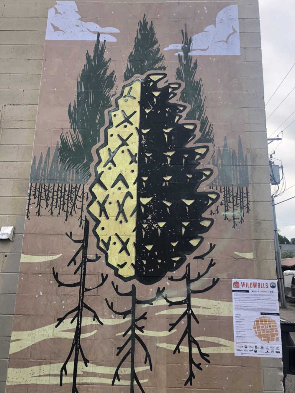 Ryan Dee's mural behind Belle Cose is an artistic interpretation of fire ecology.