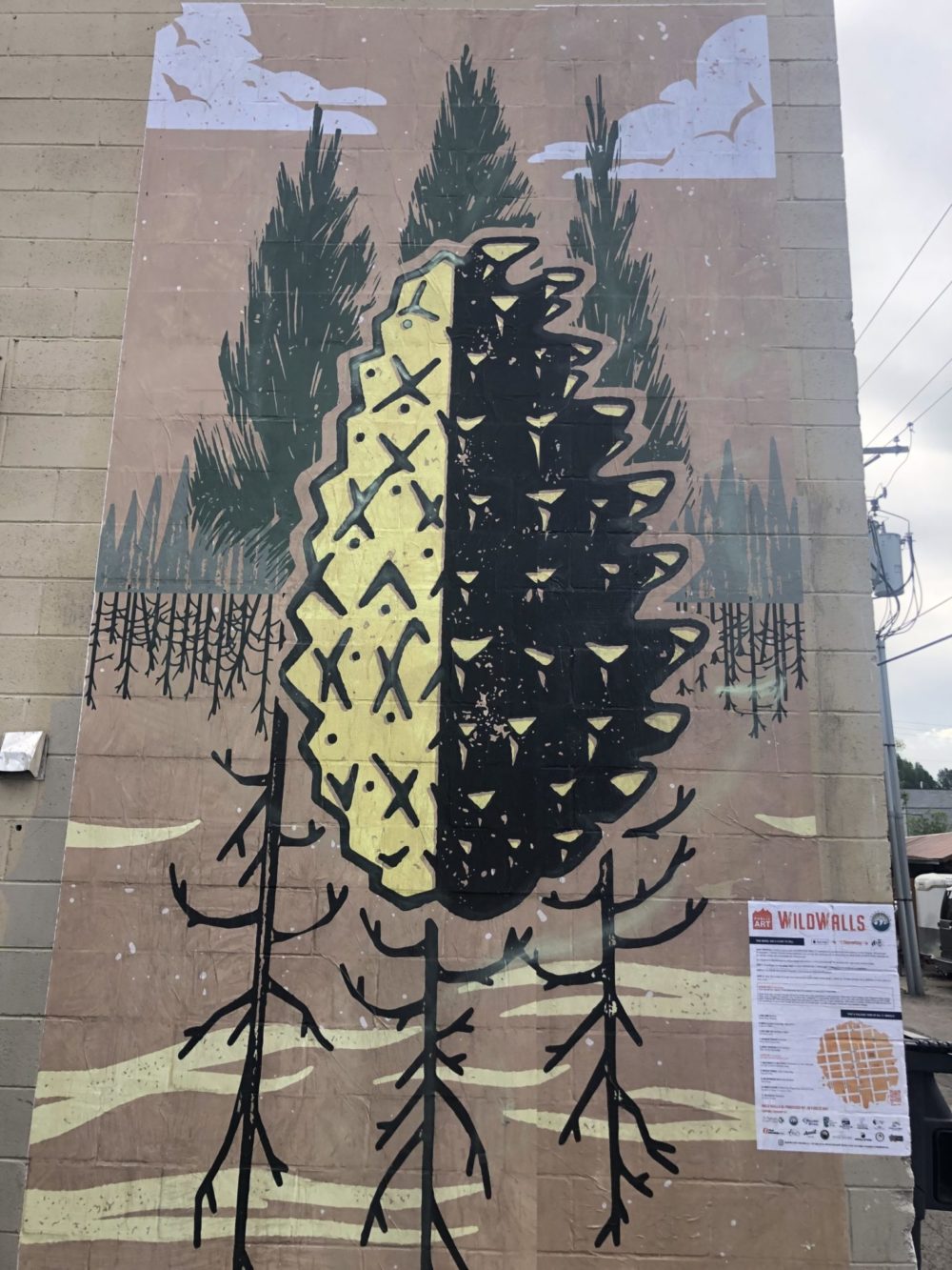 IMG_4577 (1) Ryan Dee's mural behind Belle Cose is an artistic interpretation of fire ecology.