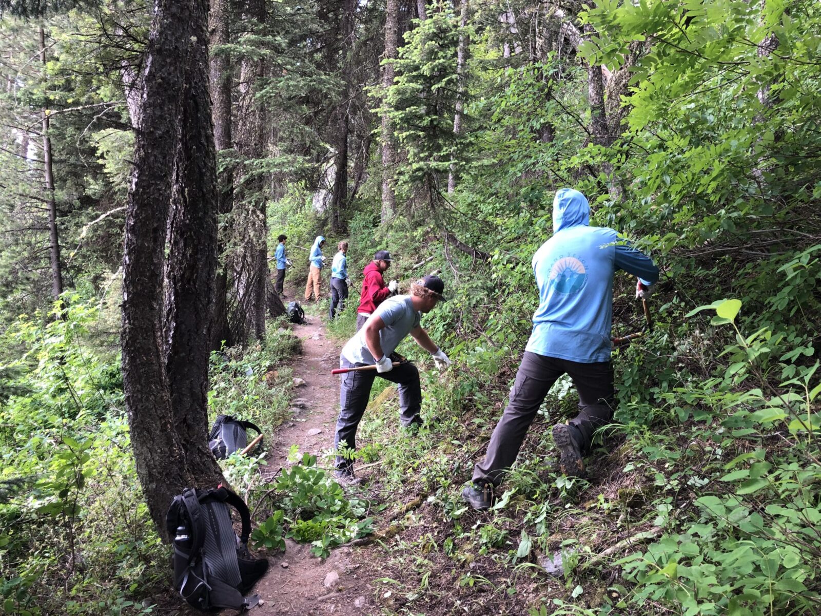 Brushing trails is hard work, and YCP has made significant progress clearing vegetation throughout the park recently.