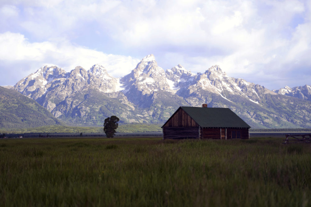 Kelly Hayfileds Cabin The historic landscape
of the Kelly Hayfields along Mormon Row. Photo courtesy of Alpyn Beauty.