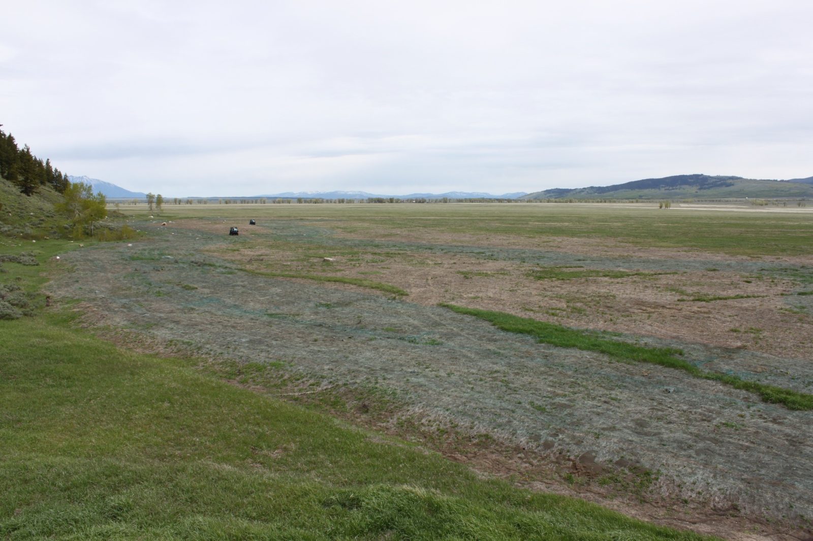 Photo 6 - South Slough Mid-Restoration 2022 This is a Kelly Hayfields plot in the initial phase of restoration, the smooth brome has been killed to make way for native plants.