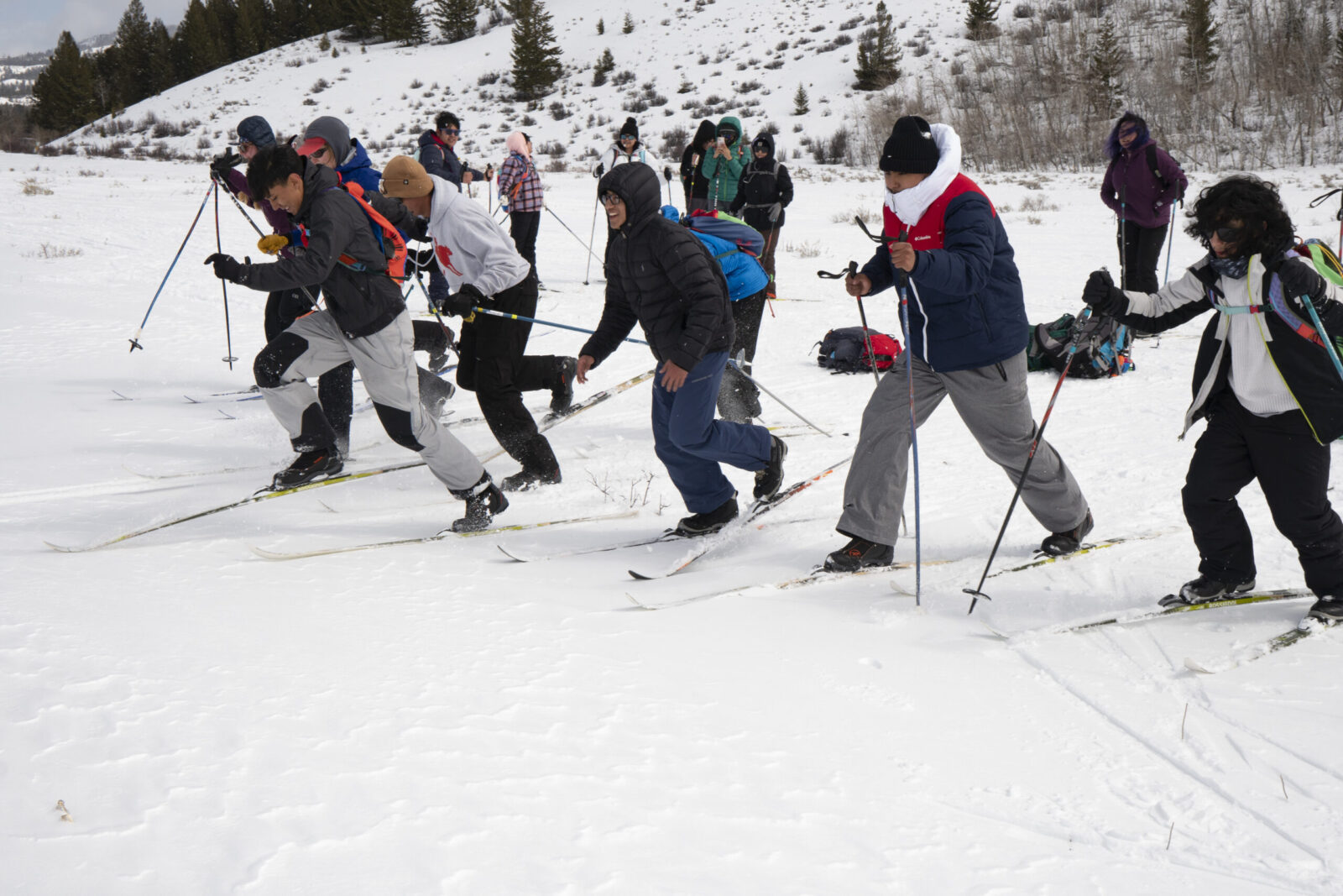 The participants race on cross-country skis. 