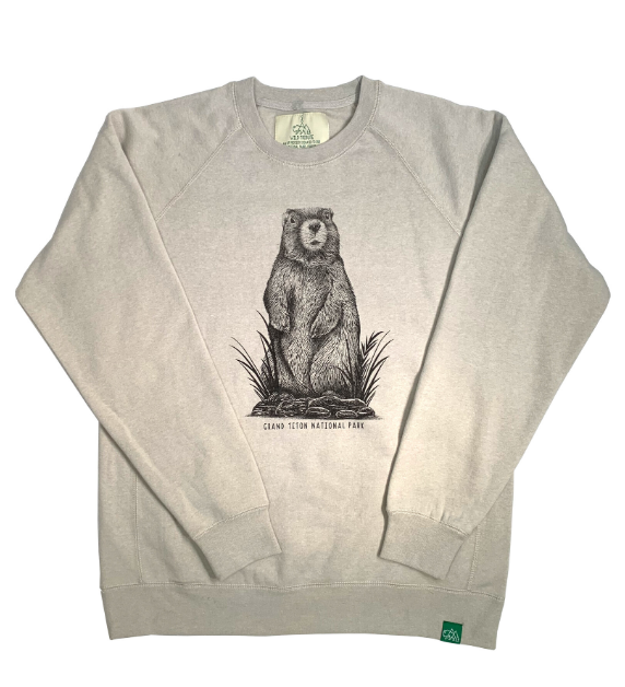 Screenshot 2025-12-03 150342