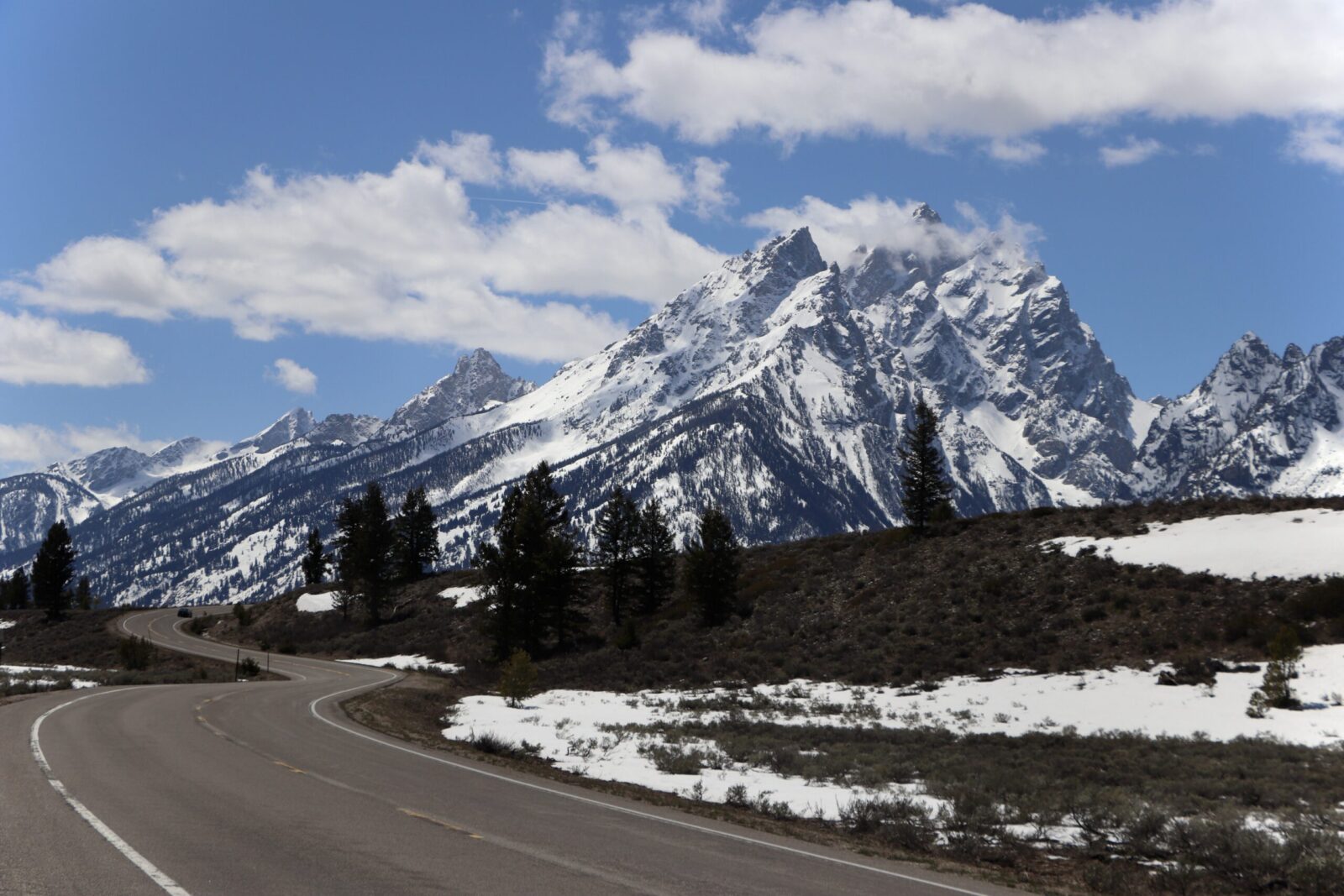 Teton Park Road Spring Teton Park Road Spring