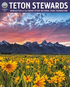 Teton-Stewards-FY20-Summer-Newsletter