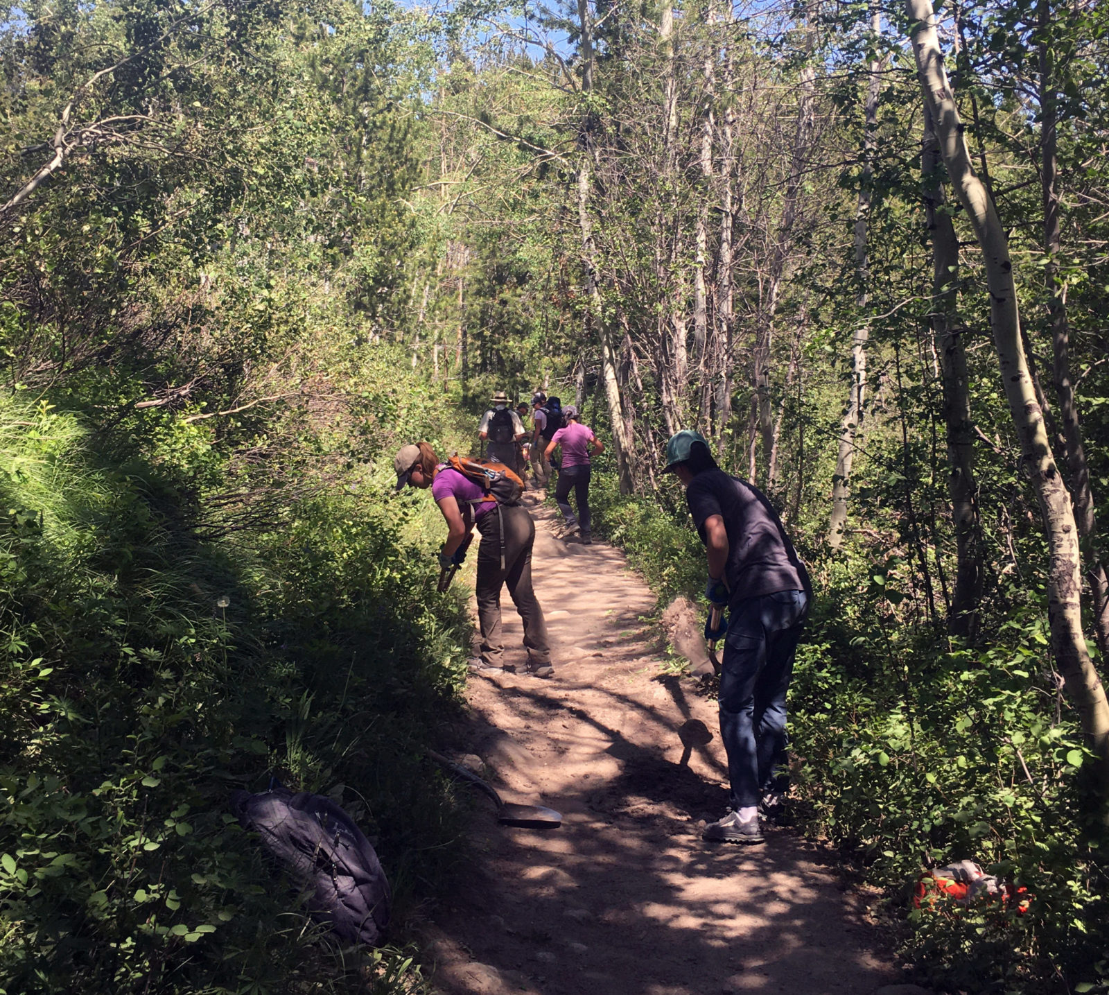 YCP members work on drains and brushing along Taggart Lake Trail.