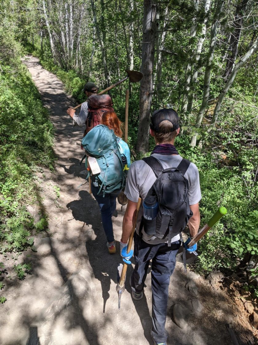 YCP put in some serious miles hiking this week as they performed trail maintenance throughout the park.