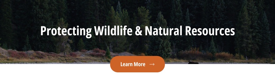 banner-Grand Teton National Park-wildlife