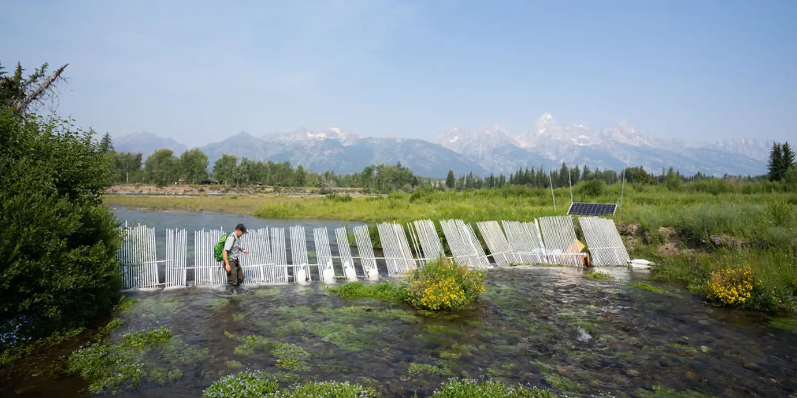 Grand Teton Fishing - Native Fish Conservation