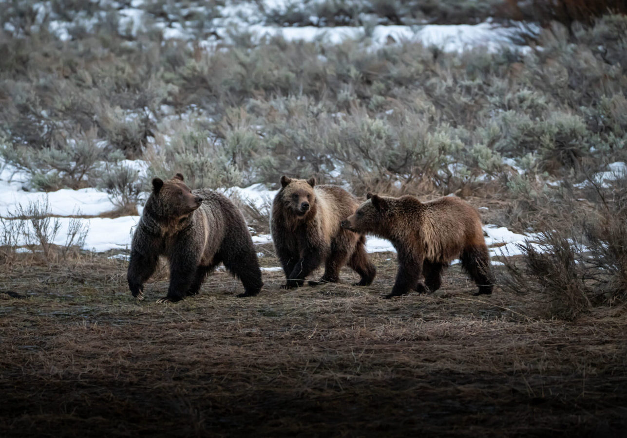 48876326508_bd3ac90058_o