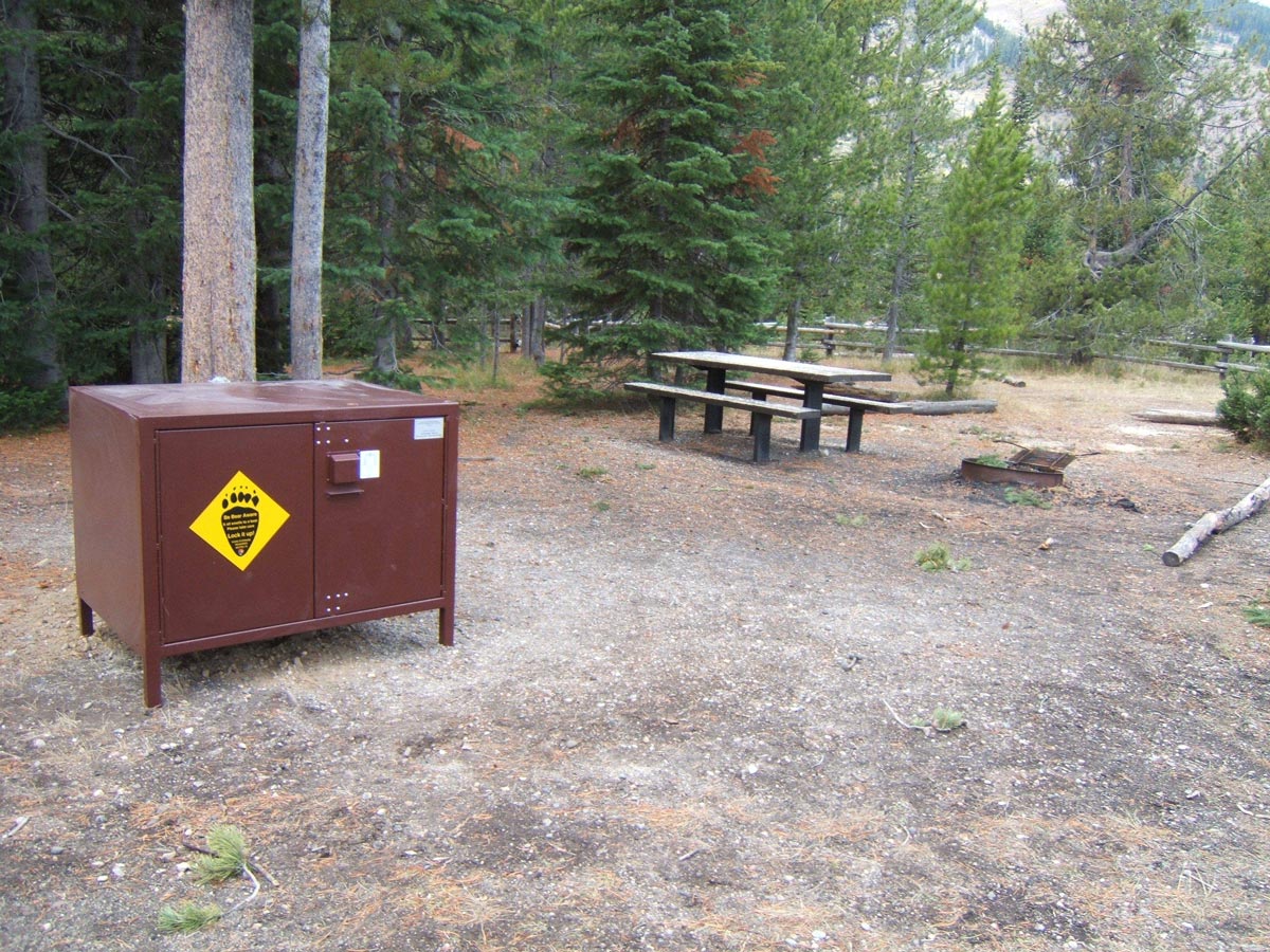 Bear-resistant food storage boxes: a popular program that allows supporters to help shape visitor behavior and increase food storage compliance—a key to safe human/wildlife coexistence and the maintenance of wild bear and other scavenger populations.