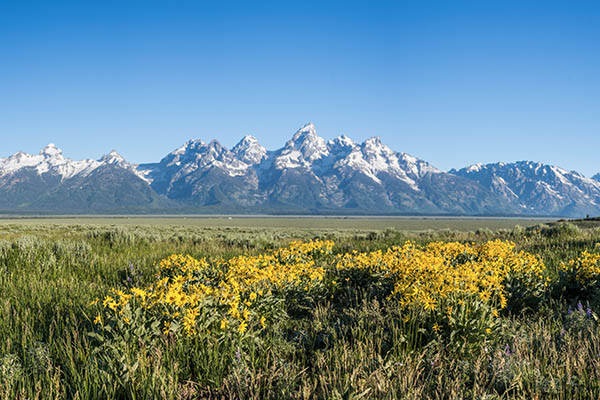 Protecting Antelope Flats