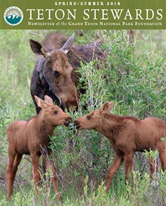 Grand Teton National Park Newsletters