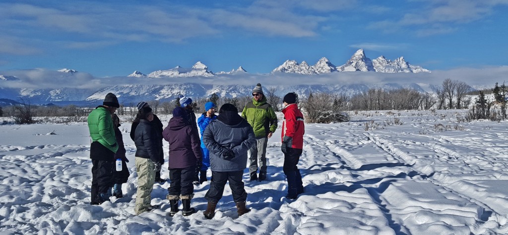 group circle teton background