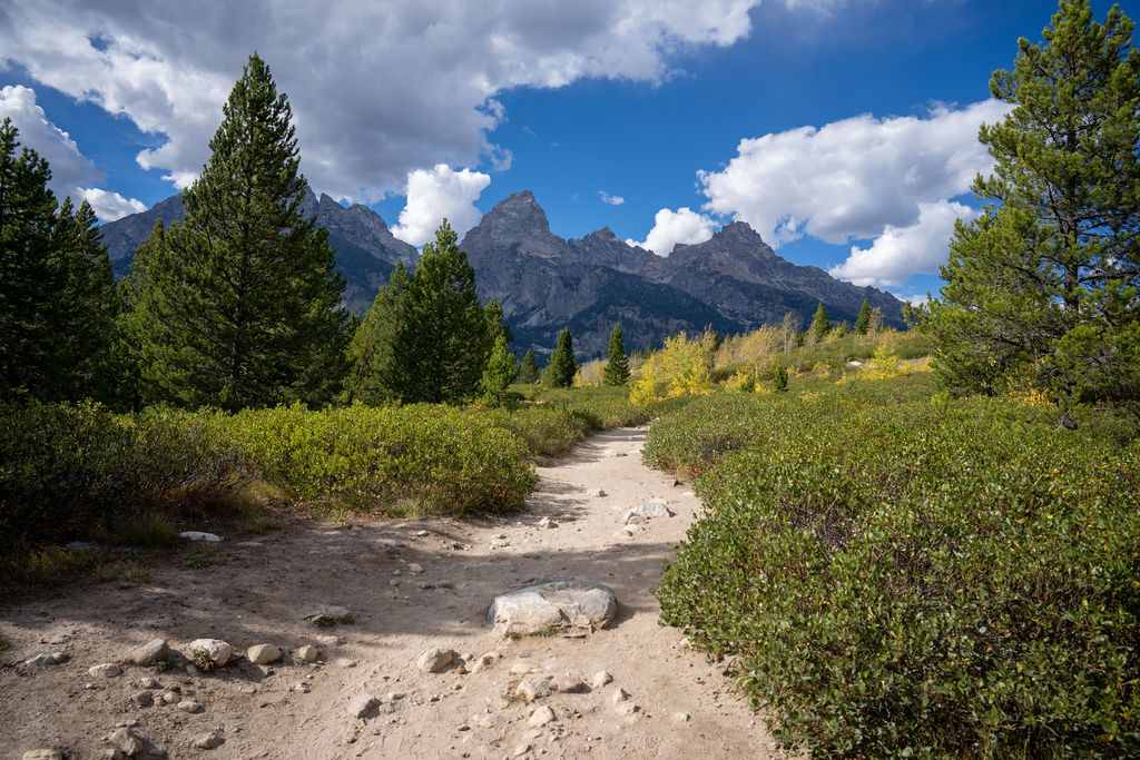 Reimagining Taggart Lake - what-we-are-doing-the-place