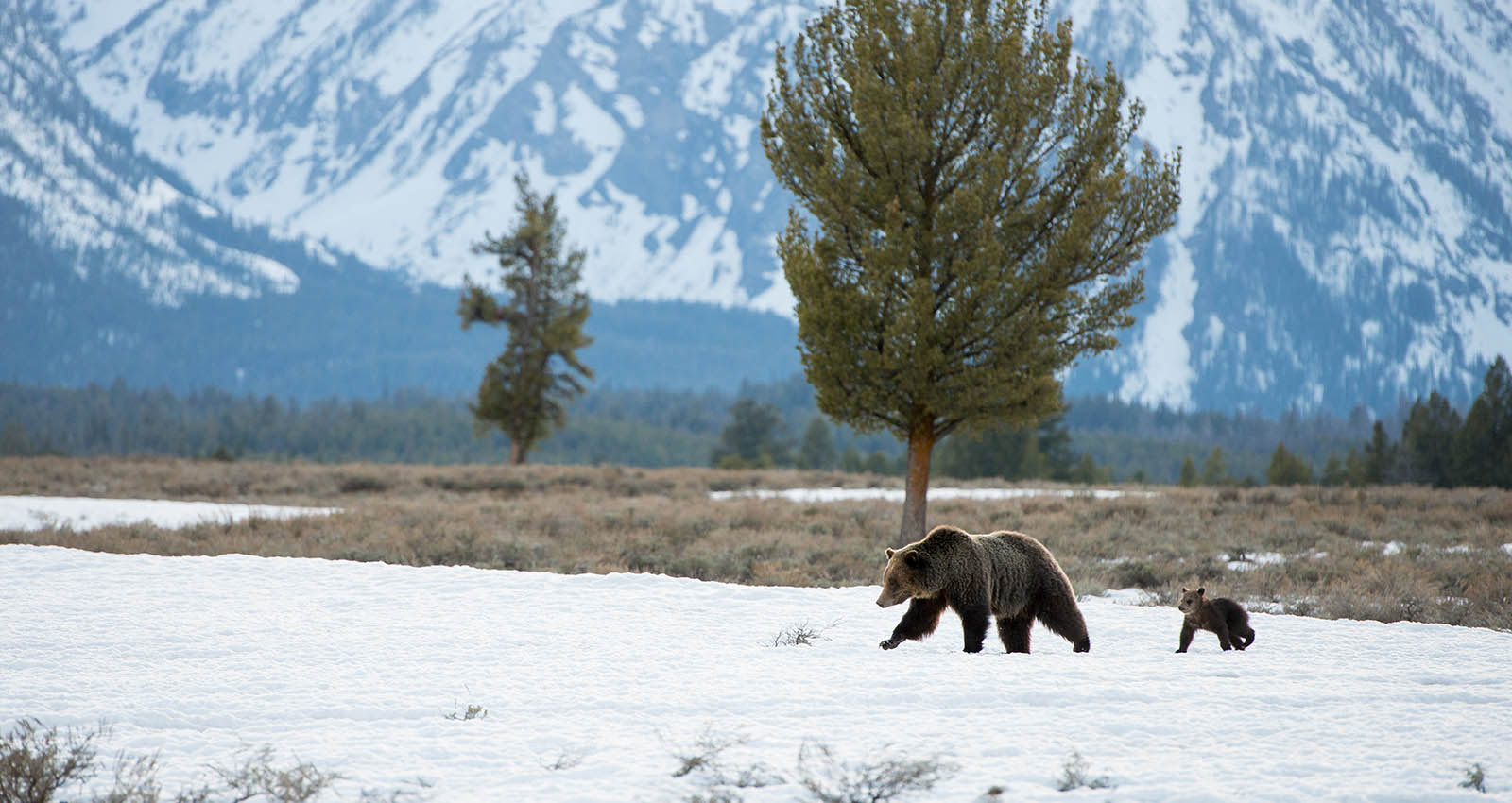 Grand Teton National Park