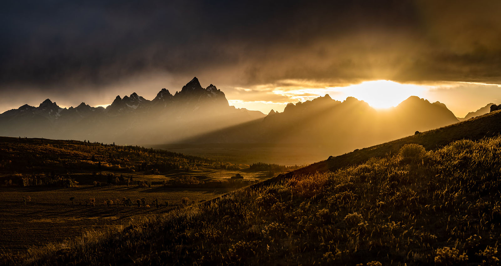 Grand Teton National Park Foundation