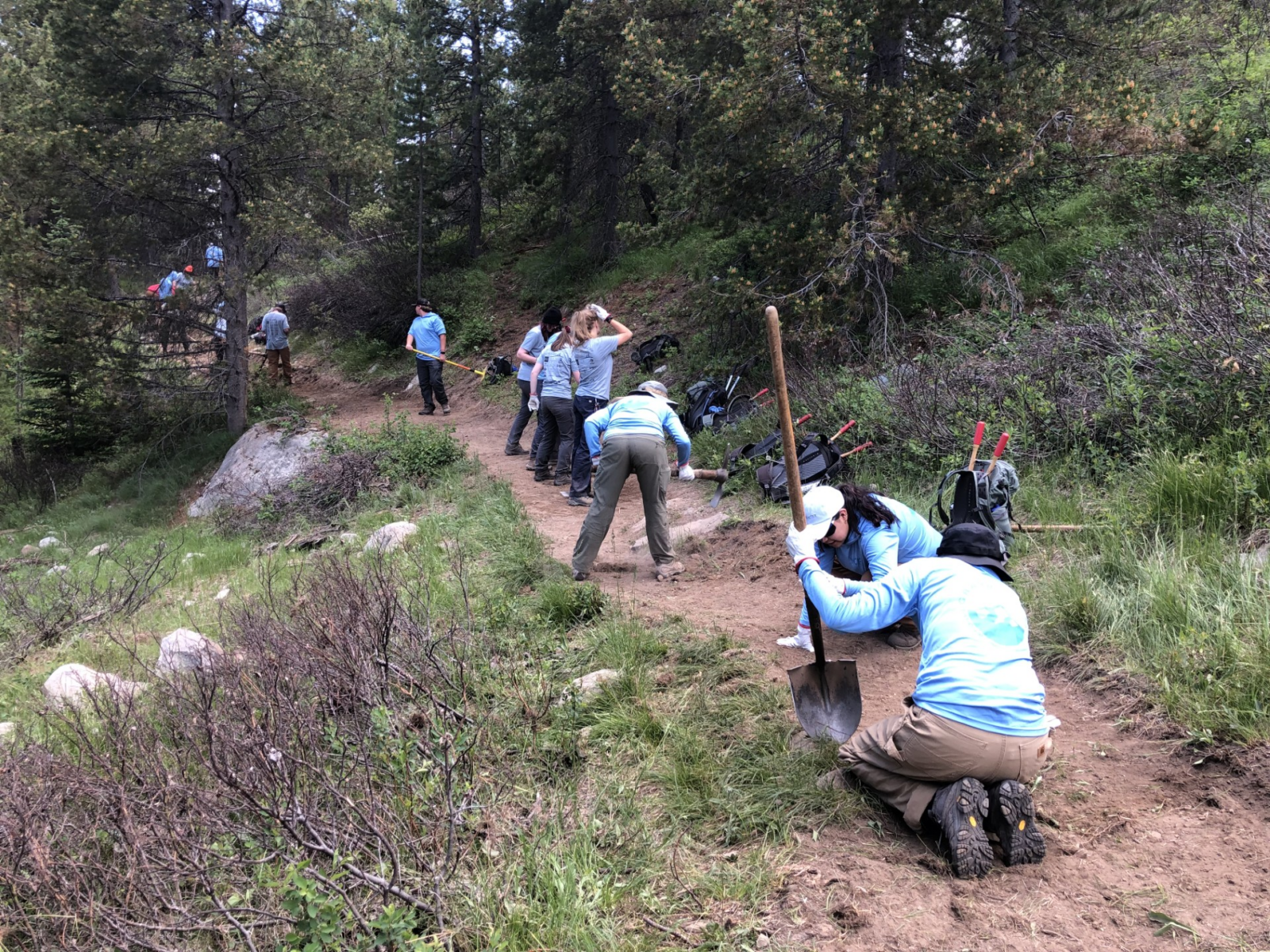 image (19) YCP get their first taste of trail work in Grand Teton.