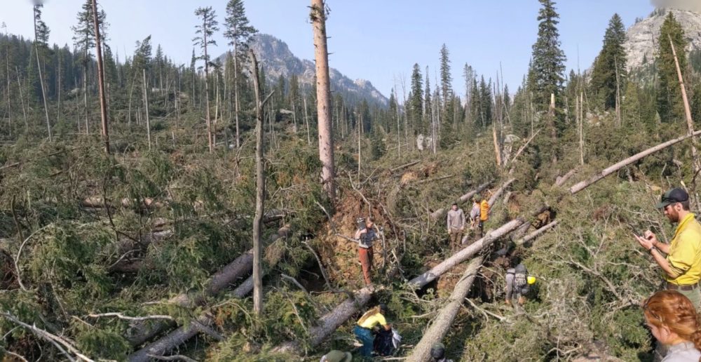 Crews assess the damage caused by high winds in Death Canyon. Photo: Corey Kruse.