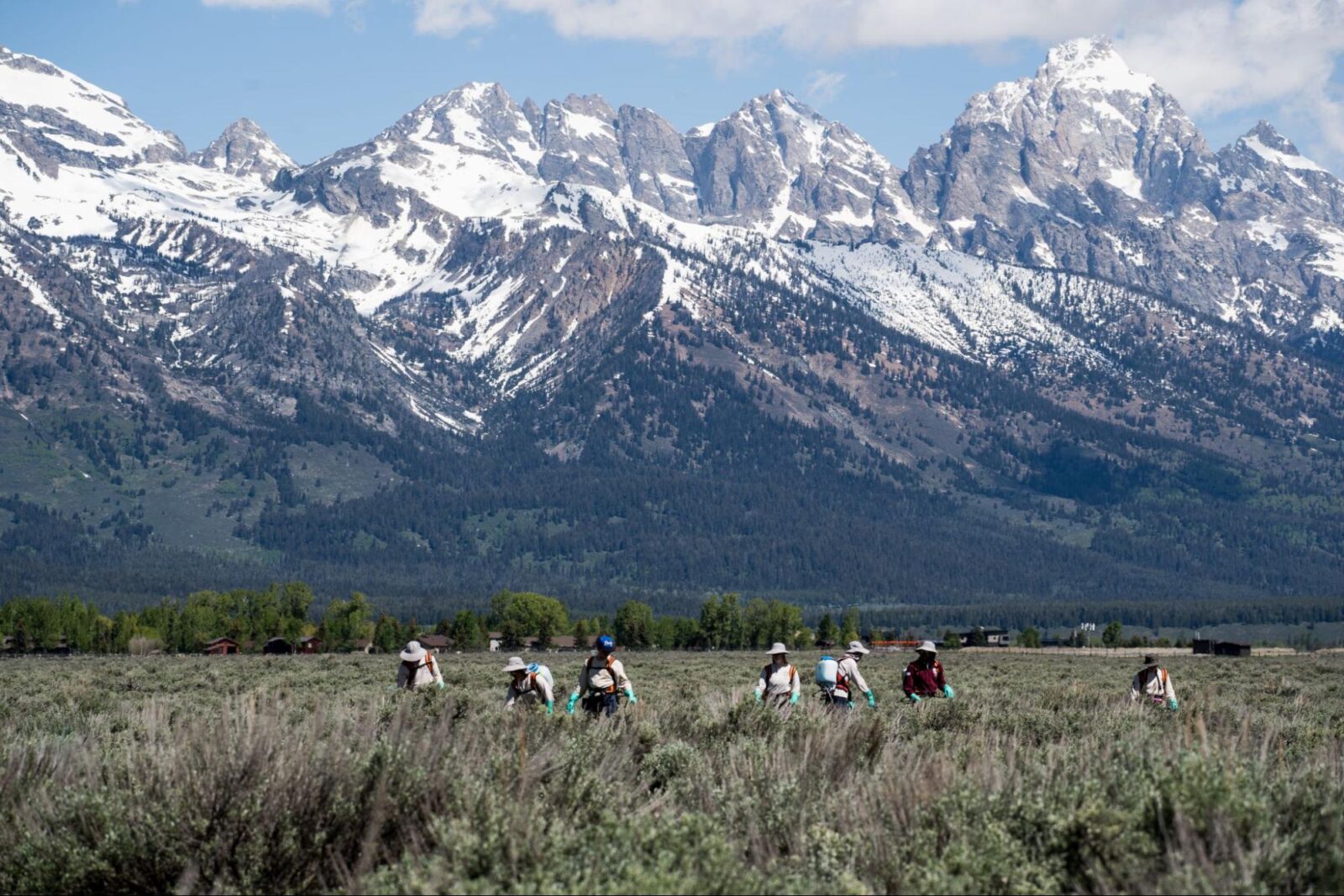 A Foundation funded youth crew work together in the sagebrush steppe with the Teton Range as their backdrop.