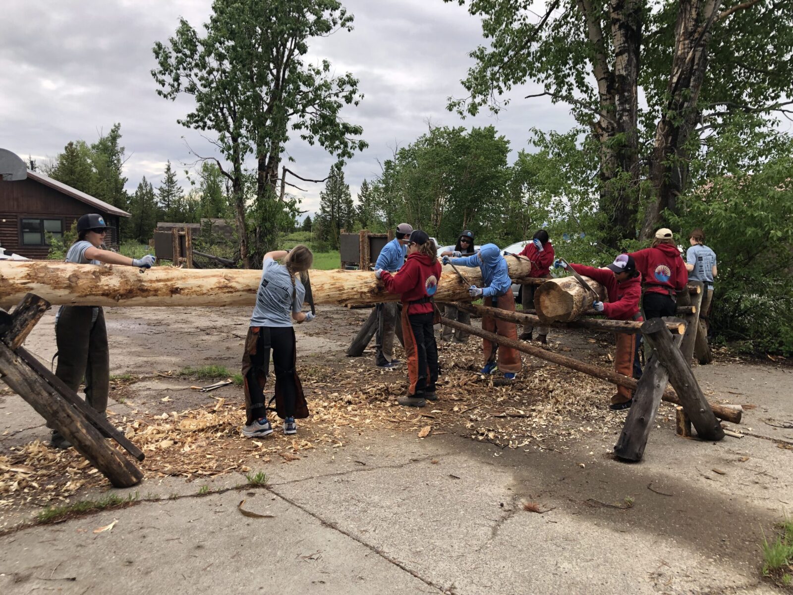 YCP learn the art of peeling logs, which will be used for a bridge project this summer.