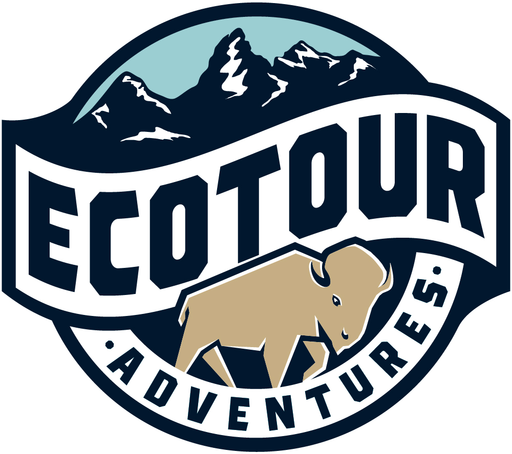 EcoTour Adventures