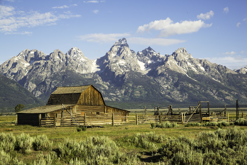 Teton 