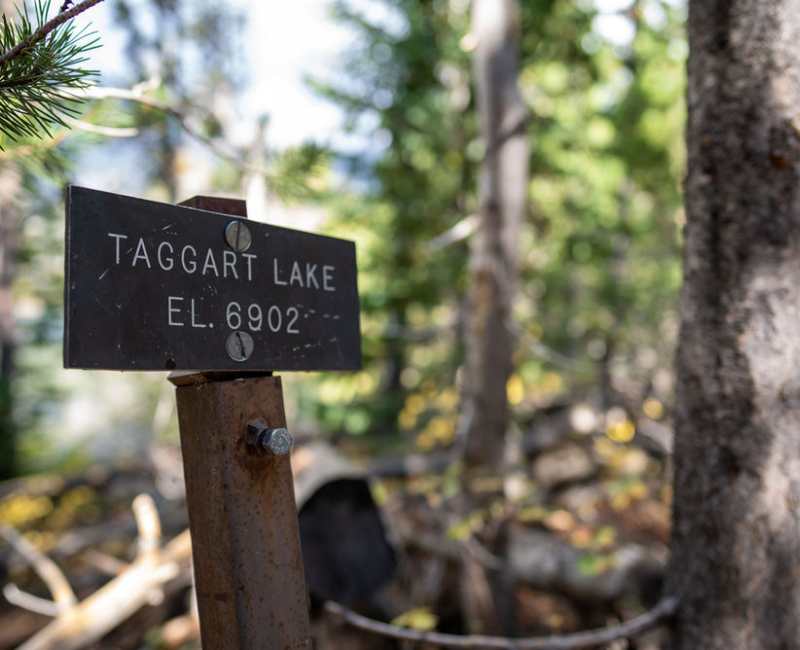 Reimagining Taggart Lake - donate-today