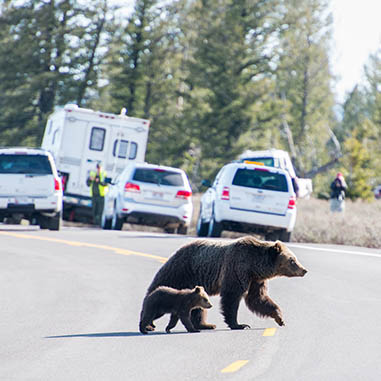 Grand Teton National Park Foundation