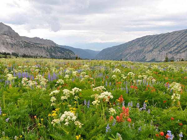 Teton Crest Trail