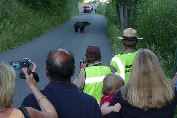 Grand Teton National Park Foundation