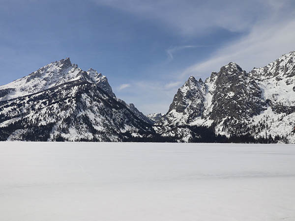 Winter Grooming in Grand Teton