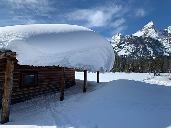 Winter Grooming in Grand Teton