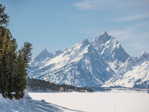 Winter Grooming in Grand Teton